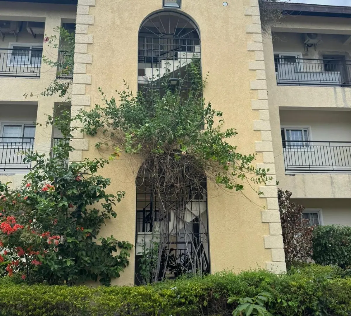 Pearl Of The City Jamaica Pearl Kingston